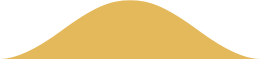 20241205
